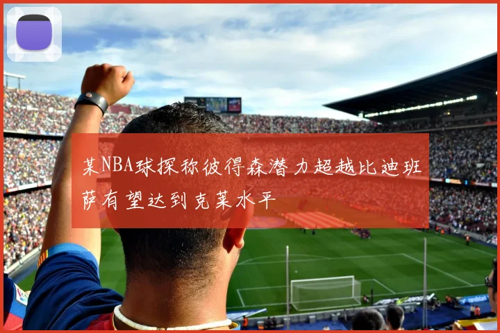 某NBA球探称彼得森潜力超越比迪班萨有望达到克莱水平